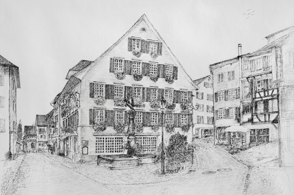 Romantik Hotel Schwan Horgen Luaran gambar